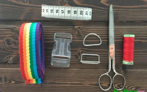 Herramientas para hacer un collar para perro: cinta métrica, cinta de arcoíris, hebilla, anillas, tijeras y hilo rojo.